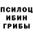 Псилоцибиновые грибы GOLDEN TEACHER Lia Lamia