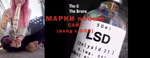 шишки Алзамай