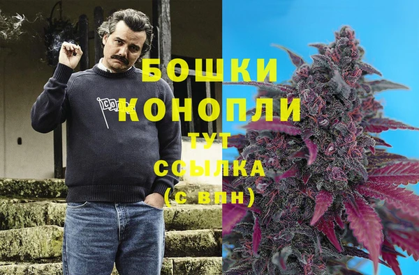 прущая мука Рославль