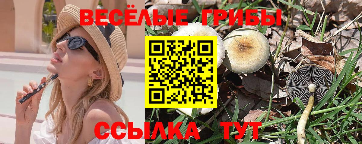 Псилоцибиновые грибы MAGIC MUSHROOMS  Вход с VPN  Псилоцибиновые грибы мухоморы  Геленджик 