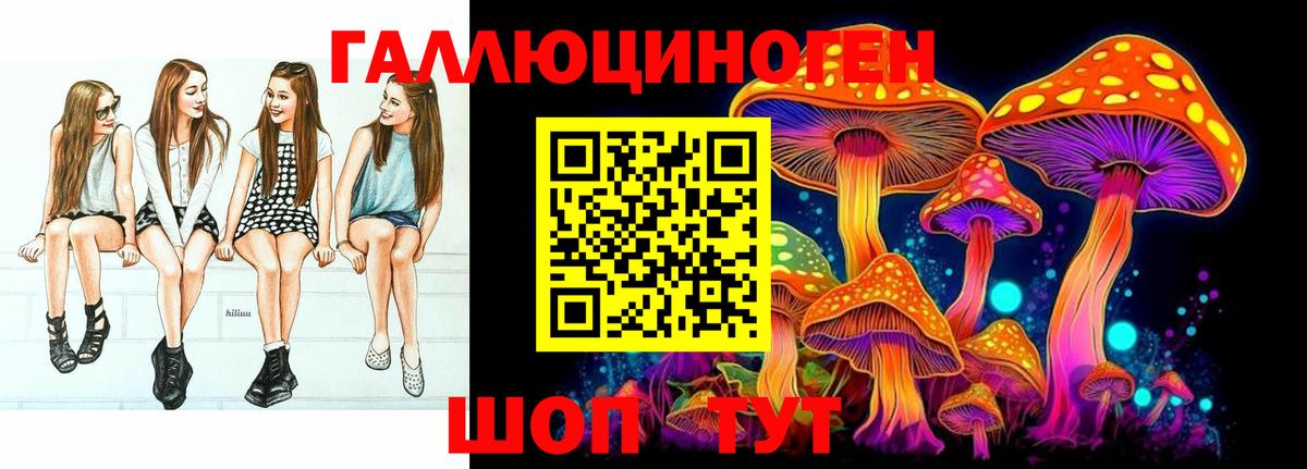 Галлюциногенные грибы Cubensis Геленджик